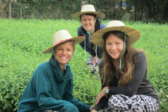 Ox-cart Culture Tour, Countryside Experince in Siem Reap - Stilt houses, gardens, customs, and village beliefs