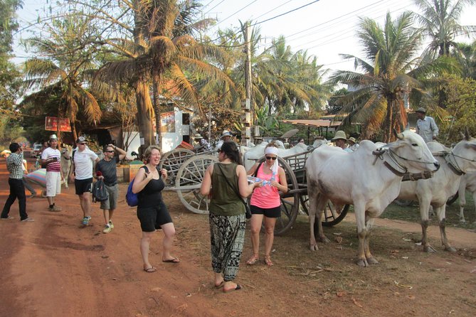 Ox-cart Culture Tour, Countryside Experince in Siem Reap - Chreav community and the value of local income