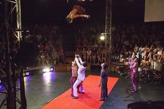 Phare: The Cambodian Circus Show with Pick up & Drop off - Who will enjoy this show most?
