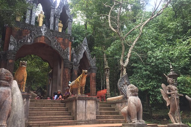 Phnom Kulen National Park 1-Day Tour - What the private format changes