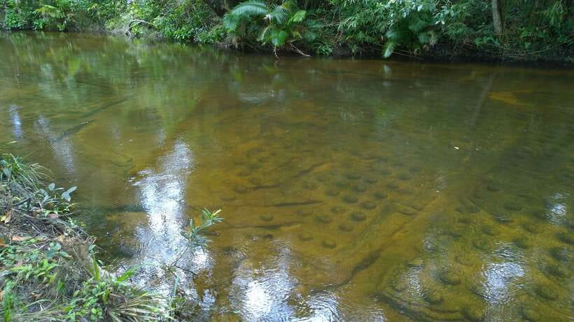 Phnom Kulen National Park Admission Ticket - Small preparations that make a big difference
