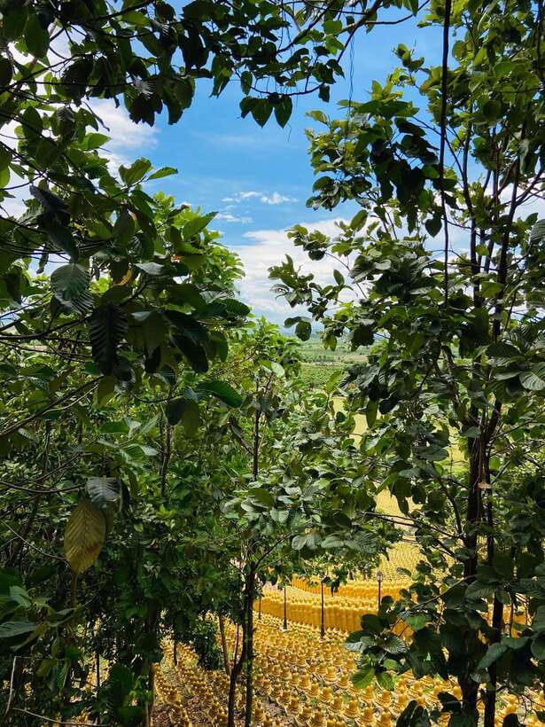 Phnom Penh: Buddha Kiri and Phnom Tamao Zoo Private Day Trip - A Full Day Begins With a Simple Phnom Penh Pickup