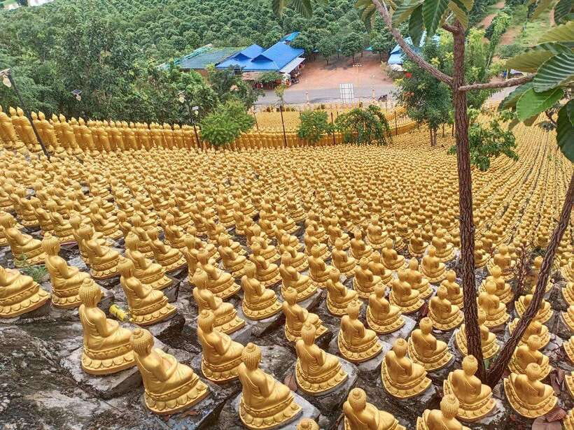 Phnom Penh: Buddha Kiri and Phnom Tamao Zoo Private Day Trip - What the $138 Price Really Buys You