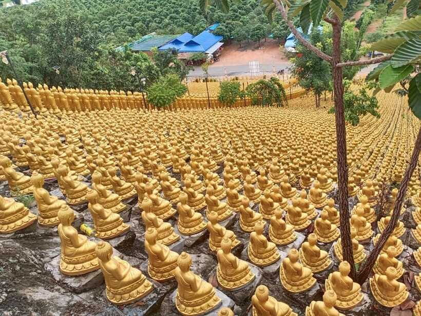Phnom Penh: Buddha Kiri and Phnom Tamao Zoo Private Day Trip - Practical Tips for a Smoother Visit