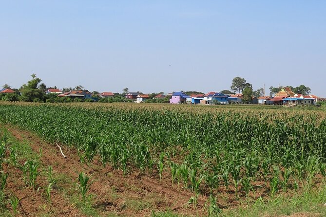 Phnom Penh Countryside Cycle Tour - Meeting artisans who work with sedge and silk