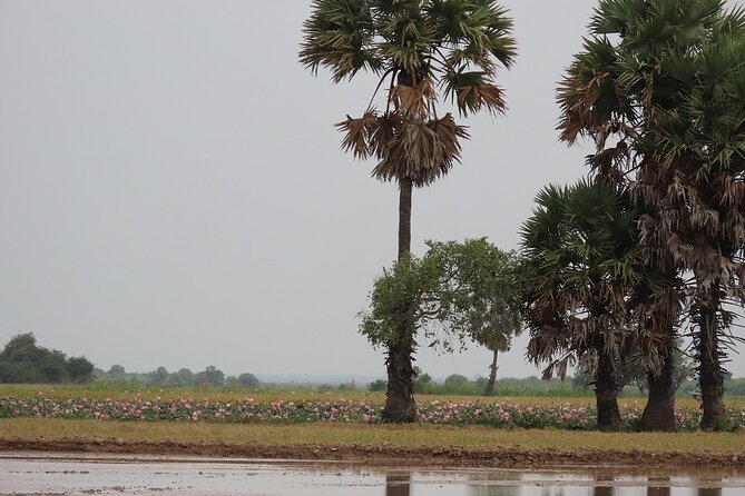 Phnom Penh Countryside Cycle Tour - Who will enjoy this ride most