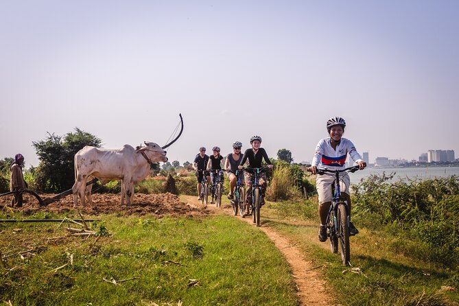Phnom Penh: Cycling Adventure on Islands of the Mekong - Orchards, market gardens, and the quieter islands