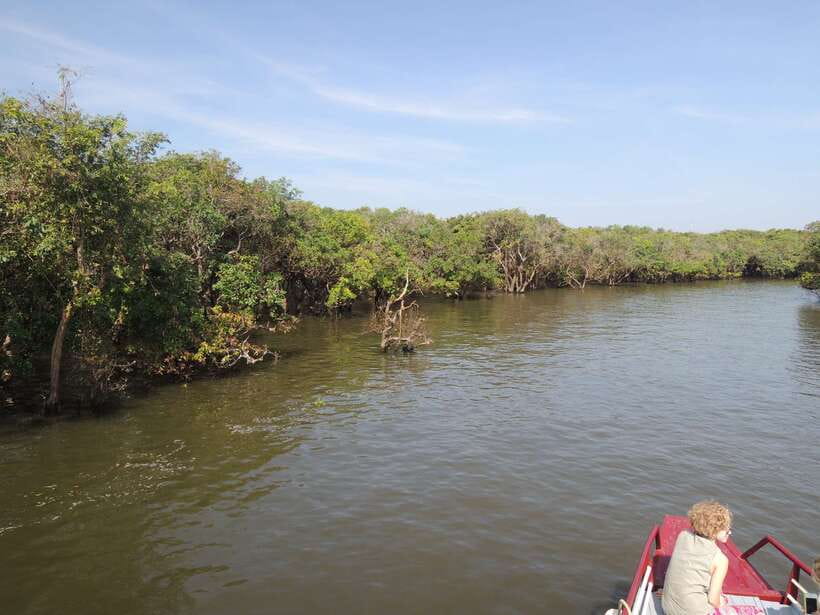 Phnom Penh to Siem Reap cruise/land tour (one way) - Lunch, River Breezes, and the Best Part of the Day
