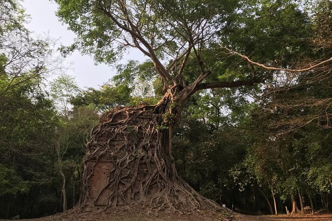 Phnom Penh to Siem Reap with Homestay at Sambor Preikuk or Vice Versa - Key points at a glance