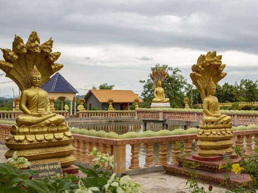 Phnom Tamao Wildlife Center & Buddha Kiri Cambodia Day Tour - Should You Book the Phnom Tamao and Buddha Kiri Tour?