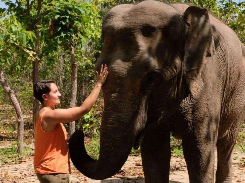 Phnom Tamao Wildlife Center & Buddha Kiri Cambodia Day Tour - Phnom Tamao Wildlife Rescue Centre