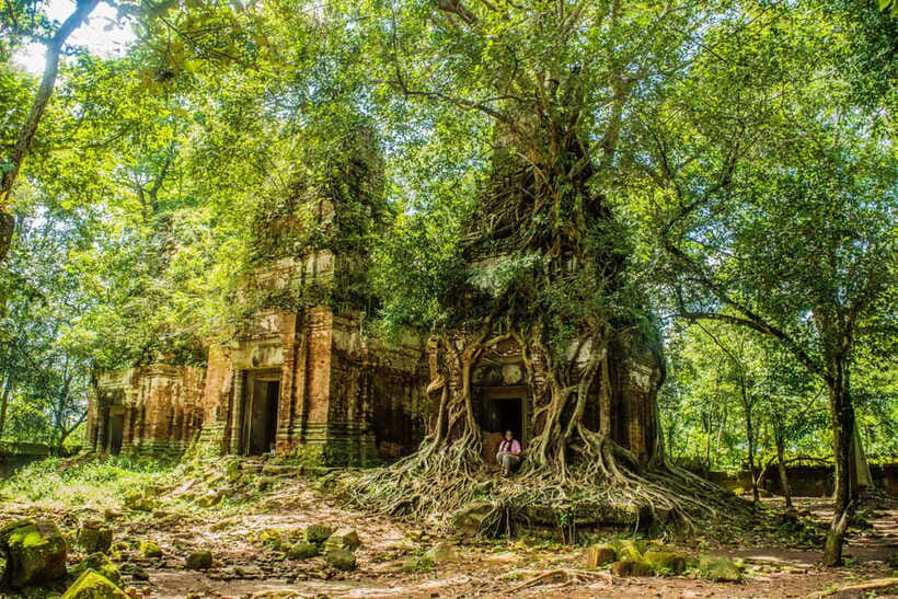 Prasat Thom, Koh Ker Group & Beng Mealea Full-Day Tour - What the private format changes