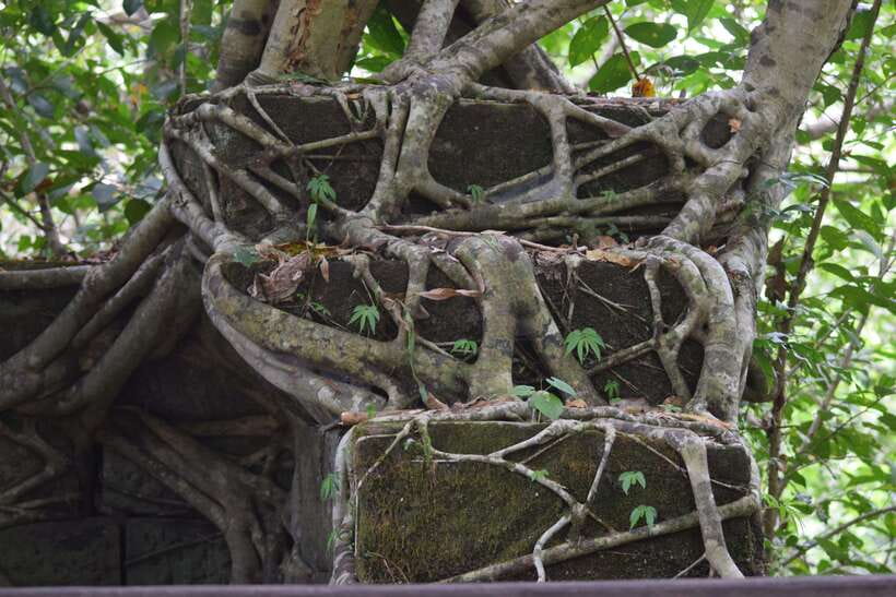 Prasat Thom, Koh Ker Group & Beng Mealea Full-Day Tour - Is $109 good value?