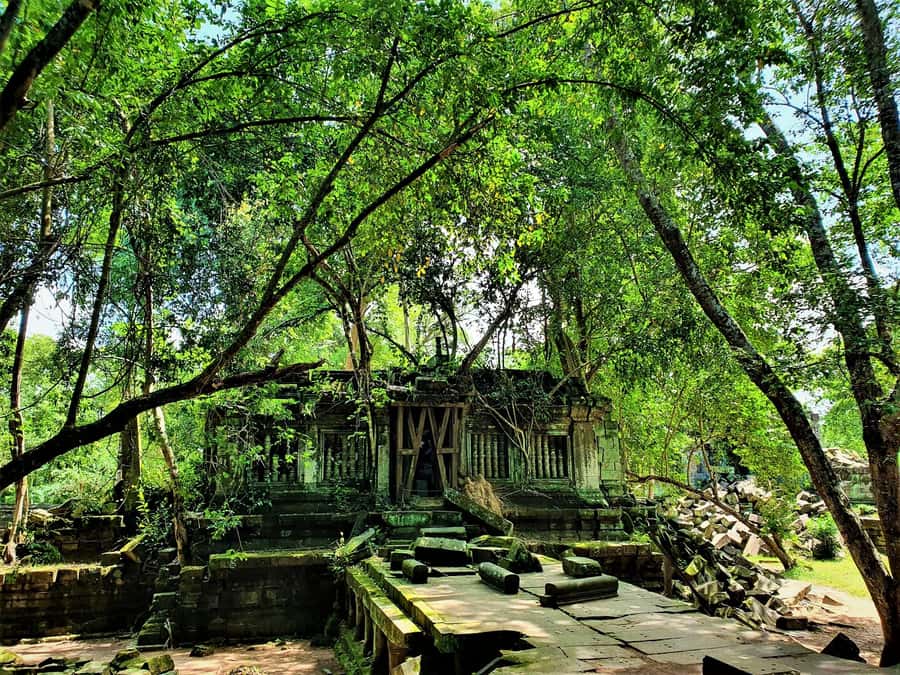 Preah Vihear Temple Koh Ker & BengMealea Tour from Siem Reap - Beng Mealea and the final 1.5-hour return