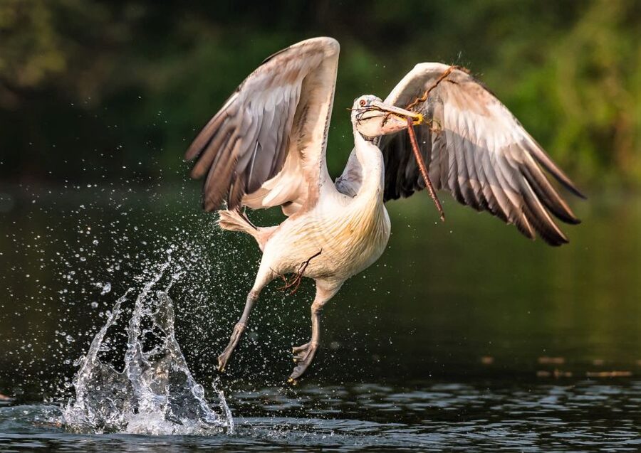 Prek Toal Birds Sanctuary & floating Village Private Tour - The return crossing and Senteurs d’Angkor