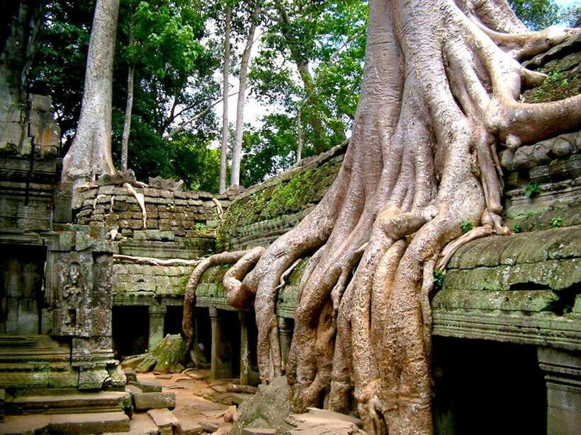Private Angkor Sunrise, Guide Breakfast and Tuktuk included - A private tuk-tuk changes the pace