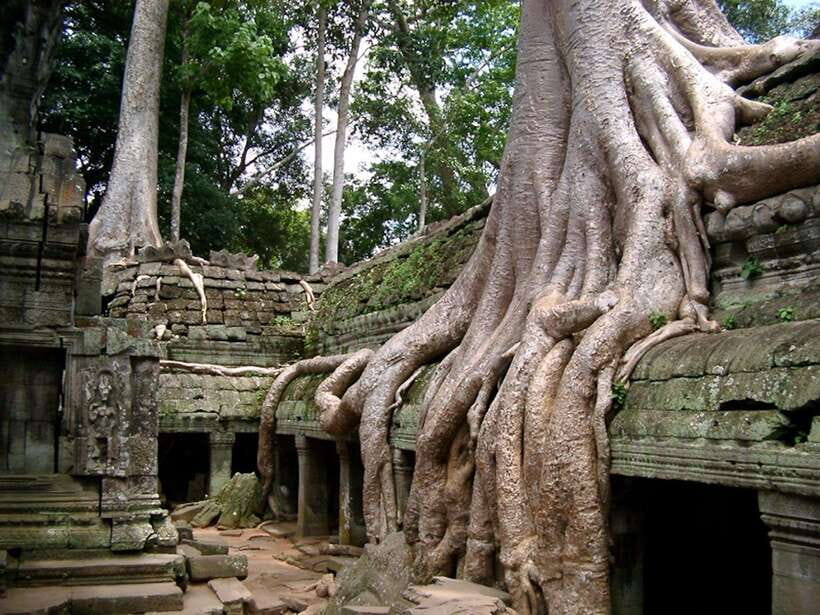 Private Angkor Sunrise, Guide Breakfast and Tuktuk included - Should you book this private sunrise tour?