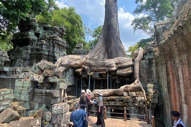 Private Angkor Wat and Lost Temple Jungle Tour - Ta Prohm: the jungle temple everyone remembers