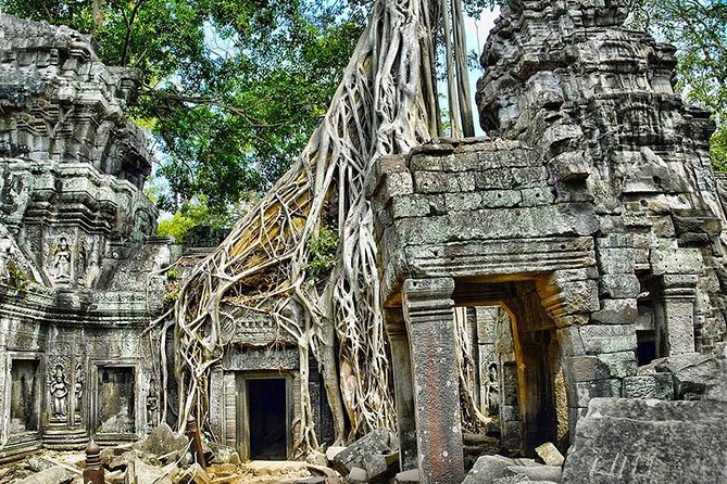 Private Angkor Wat Day Tour - Why This Tour Works for a First Day at Angkor