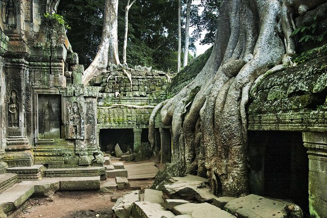 Private Angkor Wat Day Tour - Ta Prohm: The Day’s Most Atmospheric Stop