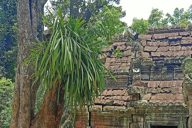 Private Angkor Wat Guided Sunset Tour - Bayon and the stone faces of Angkor Thom