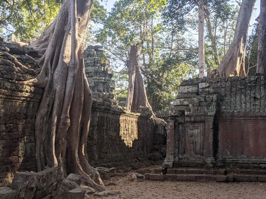 Private Angkor Wat Sunrise Small Tour - Clothing, rules, and what to pack