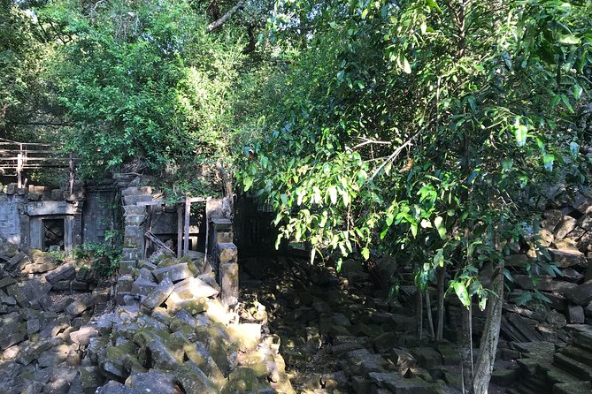 Private Beng Mealea Temple Tour – Hidden Jungle Ruins - Why Beng Mealea Deserves a Place on Your Siem Reap Plan
