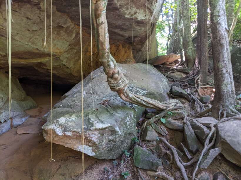Private Bonteay Srei, Kbal Spean and Beng Mealear Tour - Planning around weather and water levels
