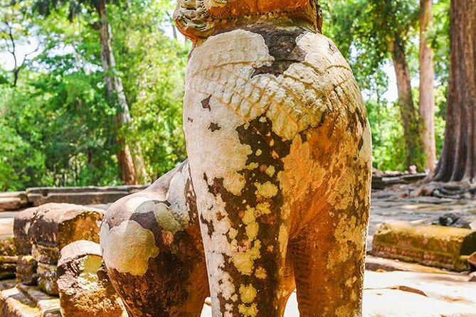 Private Full-Day Angkor Temple and Sunset Viewing with Lunch - Ta Prohm and the trees that changed the ruins