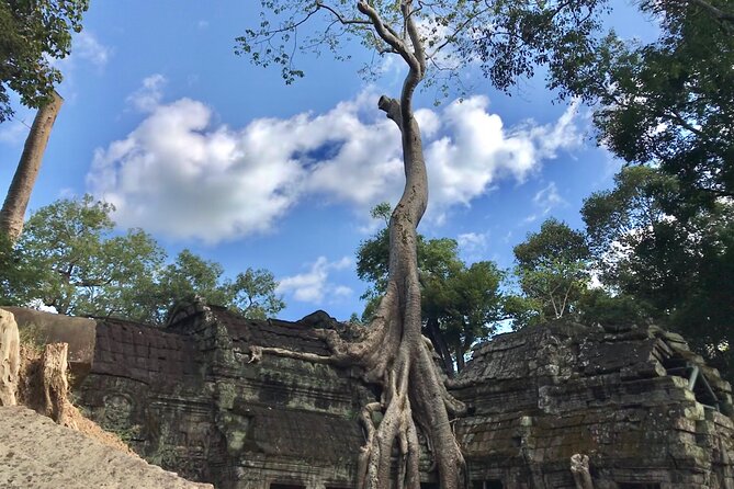 Private Guided Angkor Wat Tour by Lady Tuk Tuk with Monk Blessing - Ta Prohm before the crowds