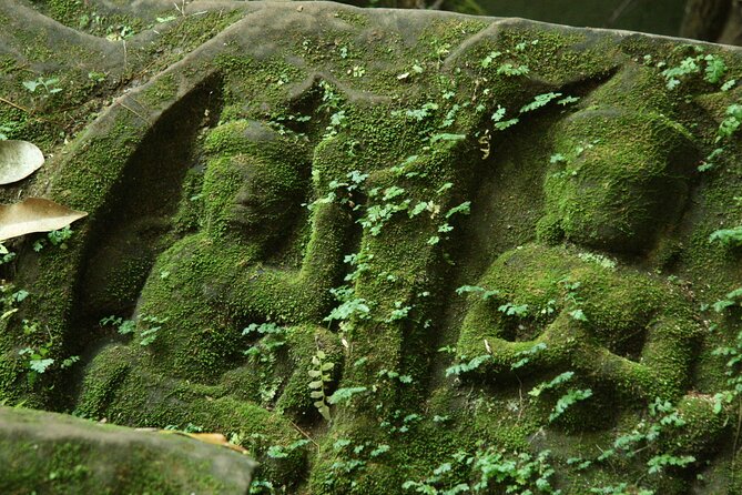 Private Guided Tour from Siem Reap to Beng Mealea Temple - Three hours among fallen stones and trees