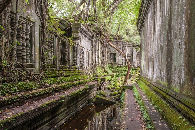 Private Guided Tour from Siem Reap to Beng Mealea Temple - The private format and the guide’s role