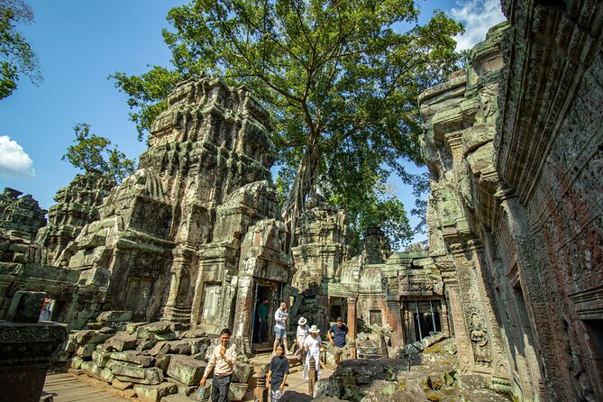 Private Guided Tour To Angkor Wat & Its Surrounding-Angkor Park - What the private vehicle and guide add