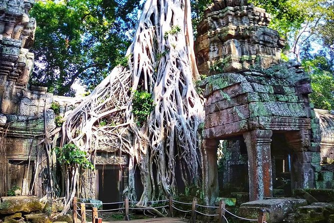 Private Guided Tours-Sunrise Angkor Wat, Ta Prohm, Bayon and more - Lunch and the shift to Angkor Thom