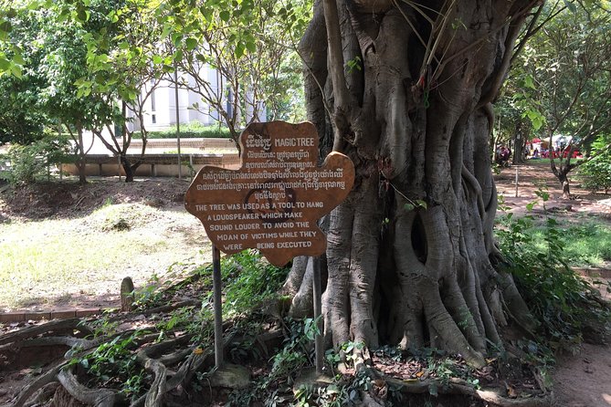 Private Half Day To Killing Field & S21 Genocidal Museum in Phnom Penh - The private car, pickup, and pace