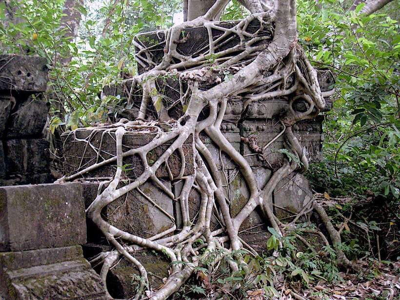 Private Koh Ker & Beng Mealea Siem Reap Temples Tour - Who should book this excursion
