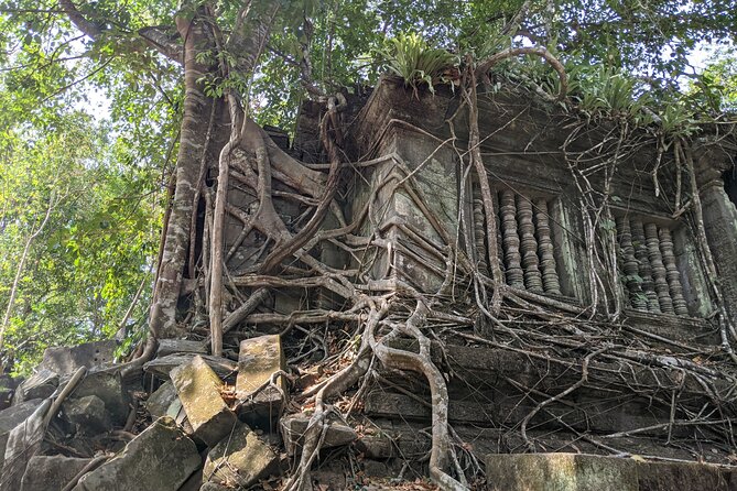Private Koh Ker Temples Park & Beng Mealea Tour - What the guide contributes