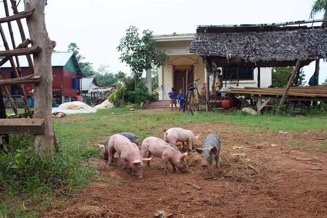Private Ox Cart Ride and Local village Experience from Siem Reap - Village Homes and Everyday Khmer Life