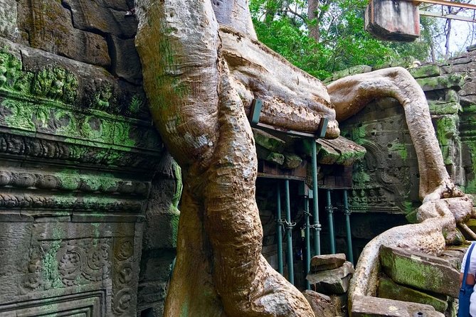 Private Siem Reap 4 Days: Full Exploration of the Angkor Complex - Final verdict: a strong first Angkor experience