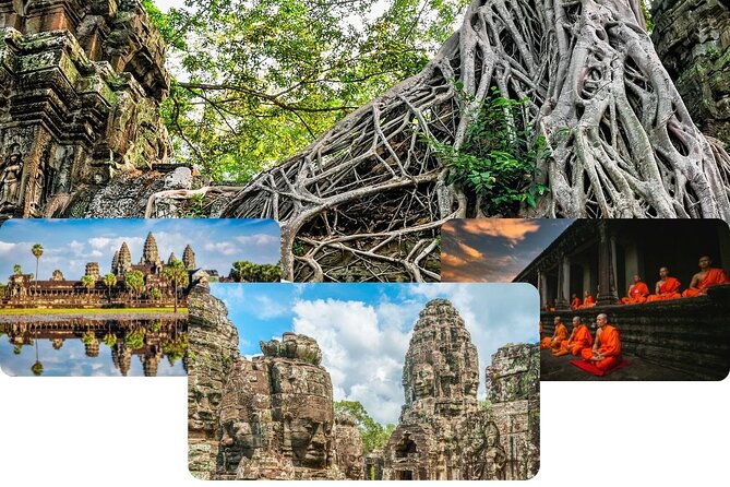 Private Sunrise & Angkor Complex by English Speaking Van Driver - Ta Prohm, where trees and stone share the frame