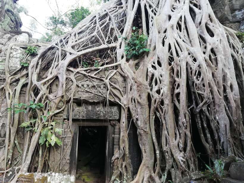 Private Sunrise Angkor Wat Tour - Key points at a glance