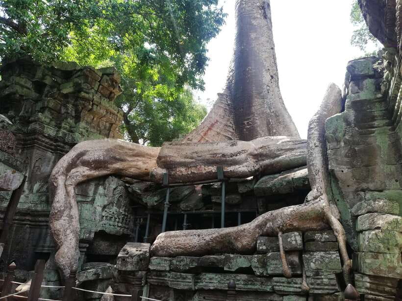 Private Sunrise Angkor Wat Tour - The South Gate and Angkor Thom’s royal center