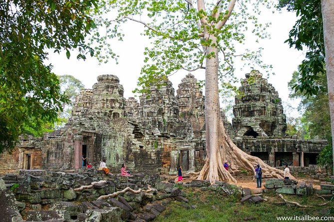 Private sunrise 'small tour' of Angkor Wat with car or van & Guide - What the private car changes