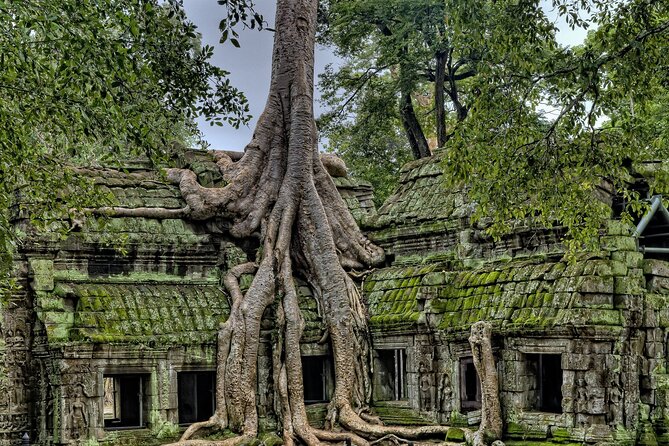 Private sunrise tour to Angkor Wat & other highlights with Professional Guide. - The Sunrise Start at Angkor Wat