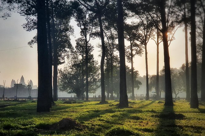 Private sunrise tour to Angkor Wat & other highlights with Professional Guide. - Ta Nei for a Quieter Jungle Temple