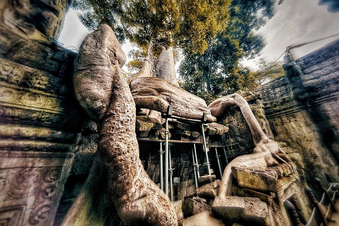 Private sunrise tour to Angkor Wat & other highlights with Professional Guide. - Bayon’s Stone Faces and Final Temple Visit