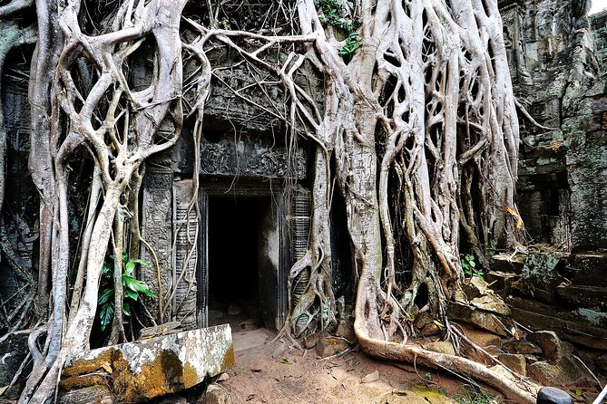 Private Temples Guided Tour (Angkor Wat, Ta Prom & Angkor Thom) - Is $75 Per Person Good Value?