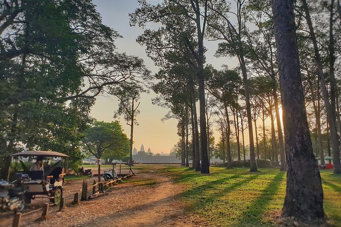 Private Temples Guided Tour (Angkor Wat, Ta Prom & Angkor Thom) - Ta Prohm and the Power of Ruins