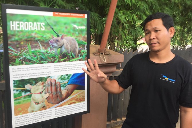 Private Tour: HERO Rats & Angkor National Museum - Angkor National Museum and Cambodia’s imperial art