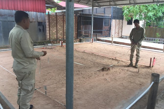 Private Tour: HERO Rats & Angkor National Museum - Who should book this experience?